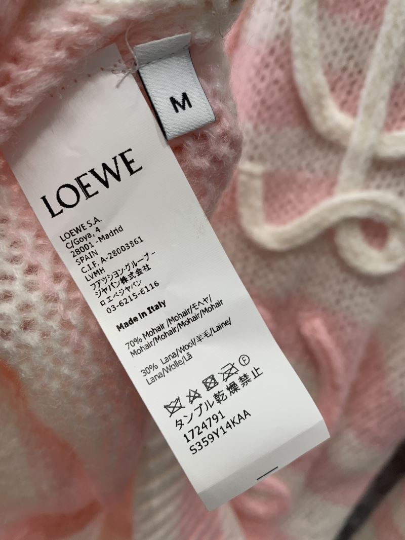 Loewe Sweaters